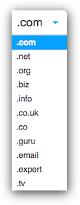 wix domain names