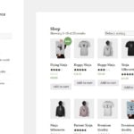 WooCommerce-Standard-Theme-Review