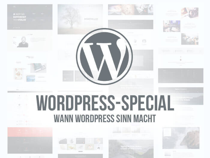 wordpress webiste 