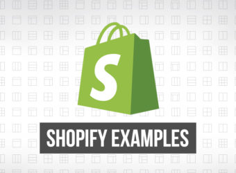 Shopify Examples: We speak to the store owners