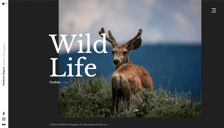 wix templates wildlife photographer