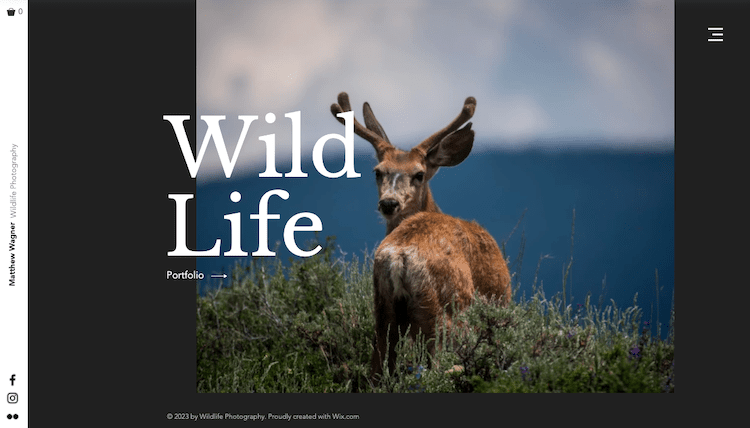 wix templates - wildlife photographer
