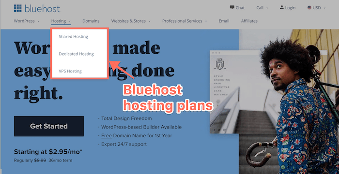 Bluehost hosting services