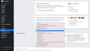 ecwid payment options