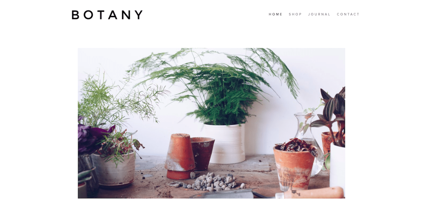 squarespace website examples - botany florist