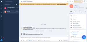 fenêtre de chat tidio