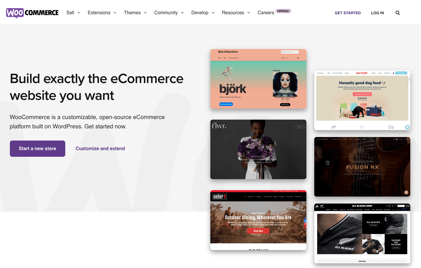 woocommerce extension