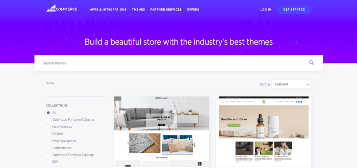 BigCommerce theme store