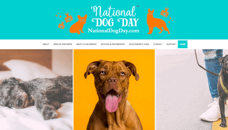 wix website examples - national dog day