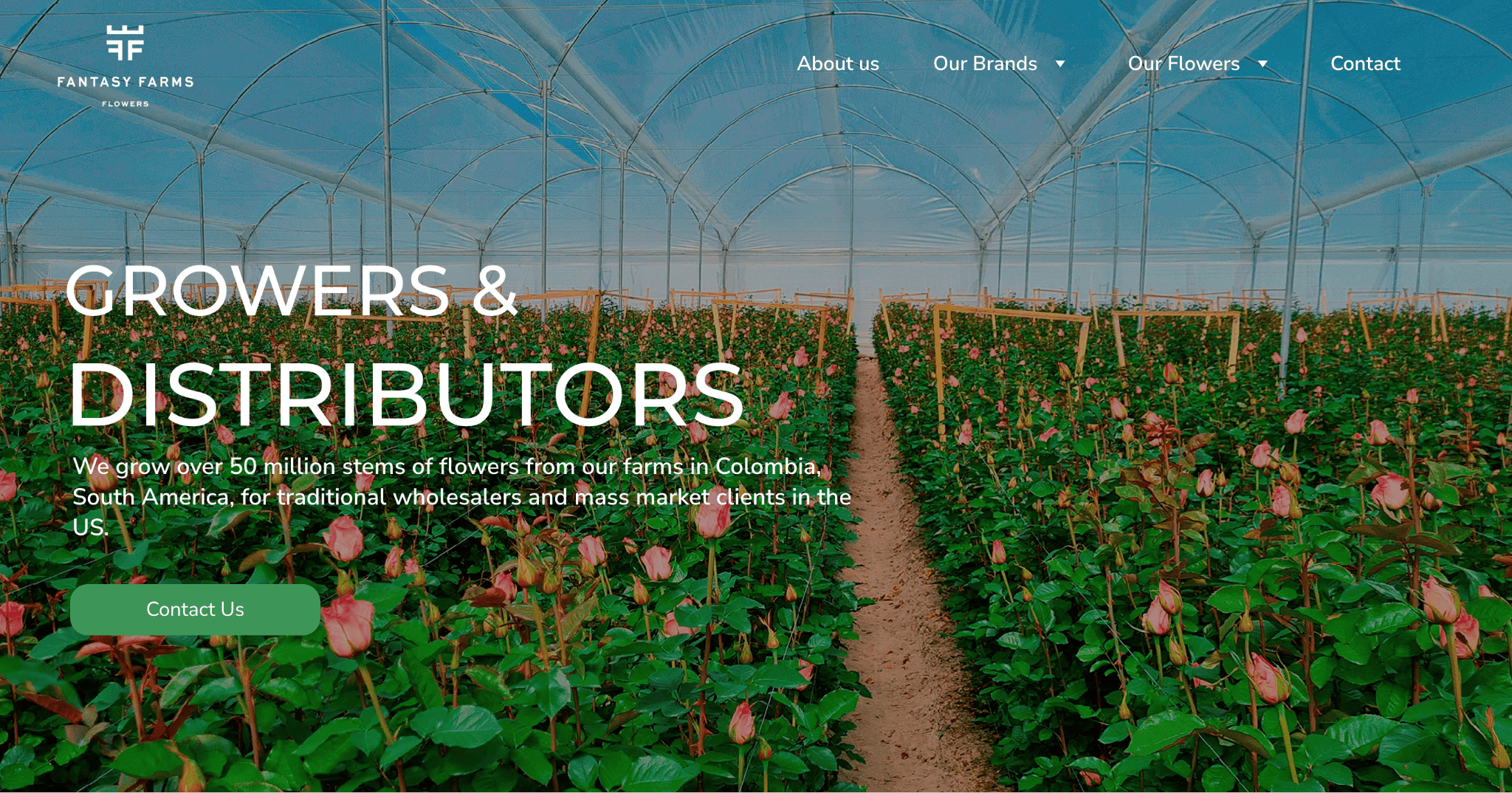 zyro website example - fantasy farms