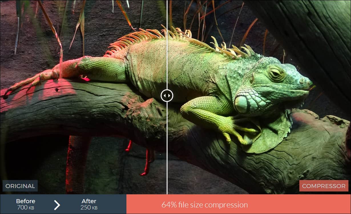 image compression quality before and after 