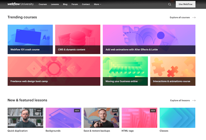 Webflow university courses