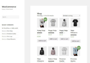 WooCommerce Tema padrão