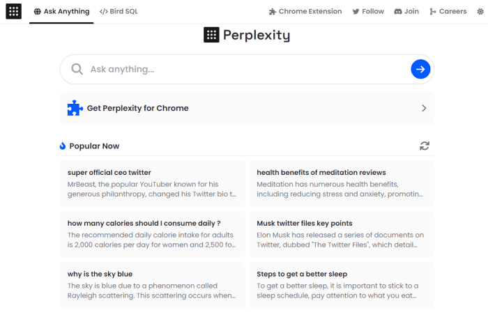 Perplexity input page